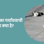 Awara Ka Paryayvachi Shabd