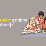 Hanso Ke Beech Kauwa Muhavare Ka Arth
