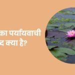 Tadaag Ka Paryayvachi Shabd
