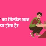 Tumhara Ka Vilom Shabd