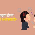 Aag Babula Hona Muhavare Ka Arth