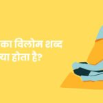 Saral Ka Vilom Shabd