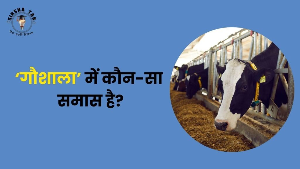 Goa Saal Mein Kaun sa Samas Hai