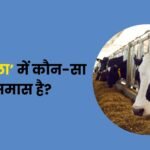 Goa Saal Mein Kaun sa Samas Hai
