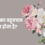 Phool ka Bahuvachan