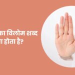 अंकुश का विलोम शब्द