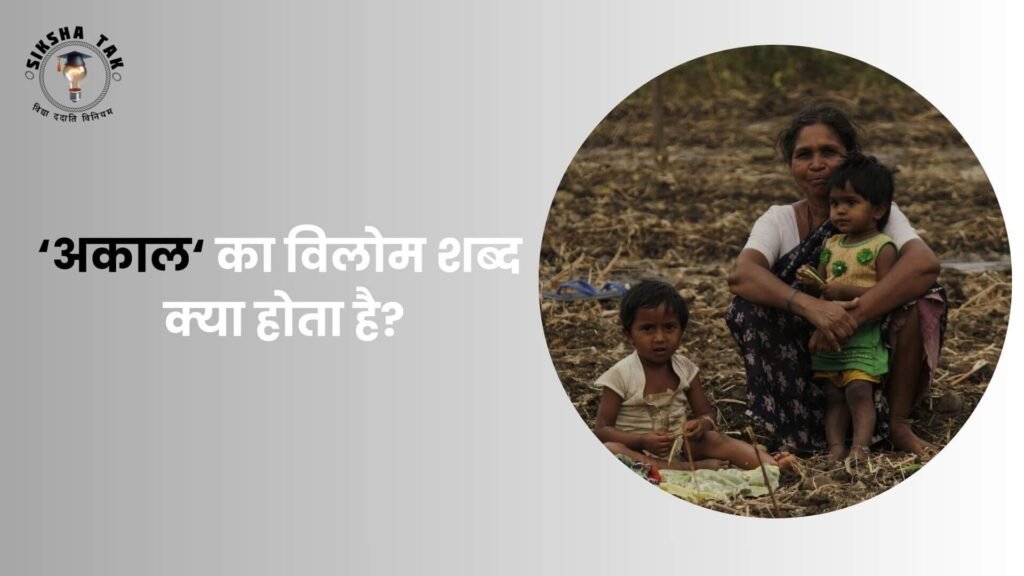 अकाल का विलोम शब्द