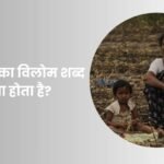 अकाल का विलोम शब्द