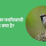 Gauraiya Ka Paryayvachi Shabd