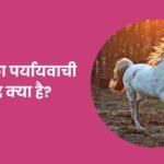 Ghoda Ka Paryayvachi Shabd