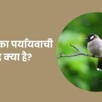 Chidiya Ka Paryayvachi Shabd