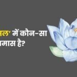 Nilkamal Mein Kaun Sa Samas Hai