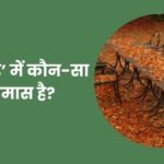 Patjhad Mein Kaun sa Samas Hai