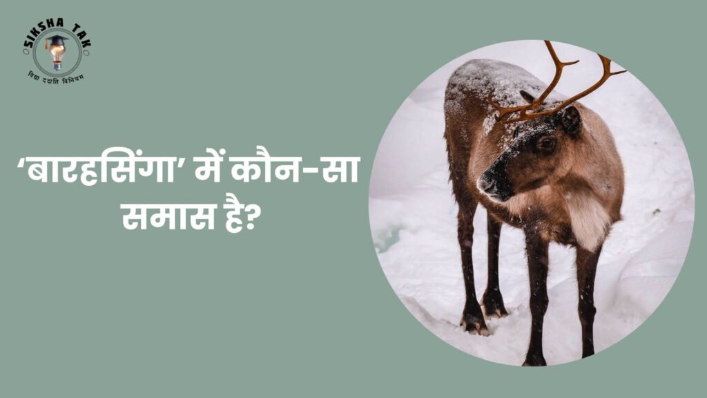Barahsiga Mein Kaun sa Samas Hai