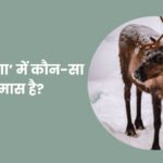 Barahsiga Mein Kaun sa Samas Hai