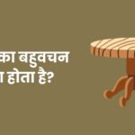 Mej Ka Bahuvachan
