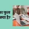 BLO Full Form in Hindi